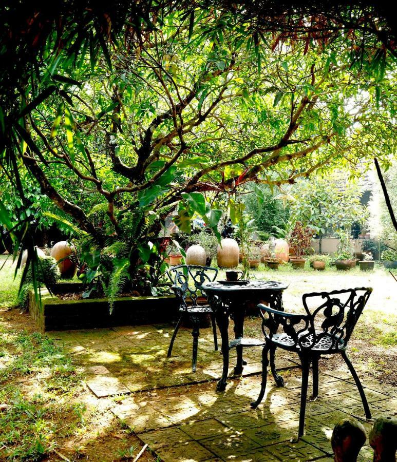 Clayfingers Art Cottage Thrissur Dış mekan fotoğraf