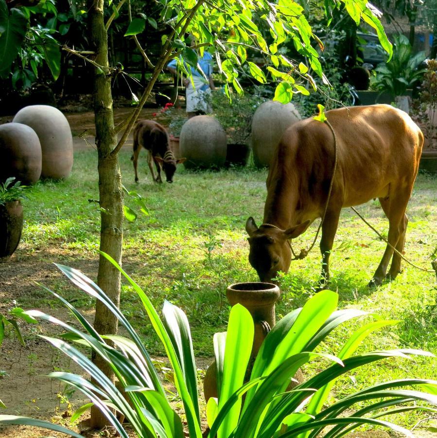 Clayfingers Art Cottage Thrissur Dış mekan fotoğraf