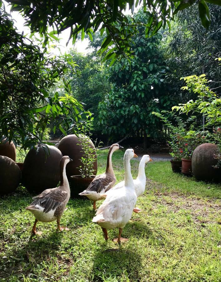 Clayfingers Art Cottage Thrissur Dış mekan fotoğraf